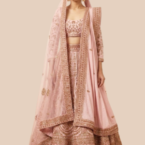 Elegance Light Pink Bridal Lehenga Choli