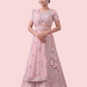 Celestial Embroidered Lehenga Choli